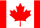 Best Immigration india ,Usa,Canada